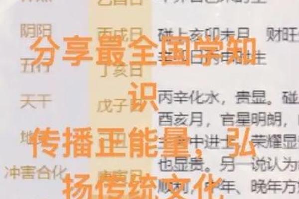 宅主命局：探秘命理背后的生活智慧与玄机