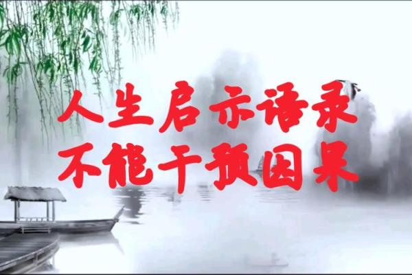 杨妍初：命理解析与人生启示，助你找到自我
