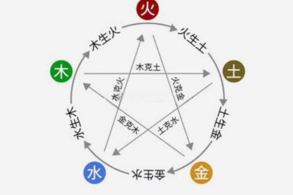 五行多木的女性命理解析：生命的韧性与创造力之源