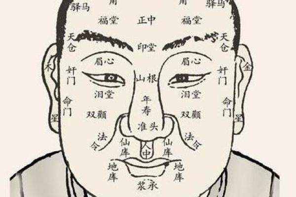 头小脸圆的男人，命运究竟怎样？探究面相与性格之关系
