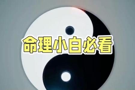 探秘五行命理:金木土火如何影响我们的命运