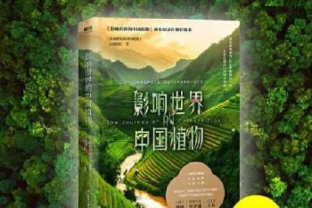 野外生存的孩子:在自然中磨炼的命运与成长之路