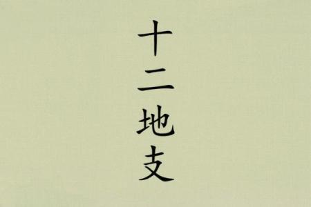 巳午未戌四方轮回，五行命理解玄机！