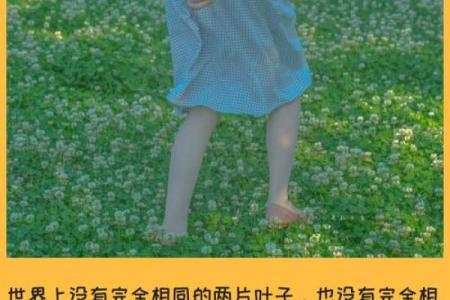 羊年2月出生的人命运分析:解析性格与人生旅程