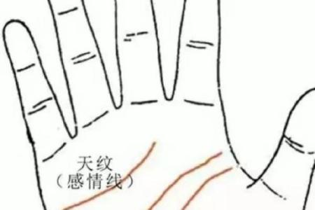 探索手相学:揭秘玉柱纹所蕴藏的命运密码