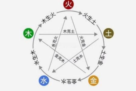 五行多木的女性命理解析：生命的韧性与创造力之源