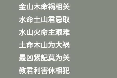 土命金命水命:探索命理背后的深刻意义与人生启示