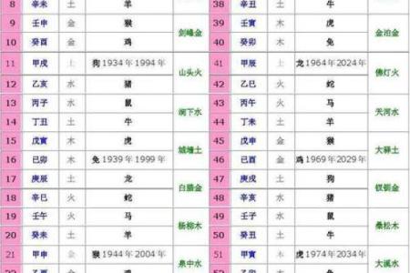 巳时出生的命运解析：探寻生肖与五行的奥秘
