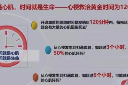 掌握关键时刻:时间与生命的紧密联系