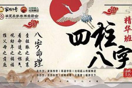 探秘八字神童:天生魅力与智慧的交汇点
