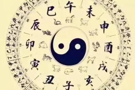 探秘命理:乙酉戊寅壬午庚子命的奥秘与人生启示