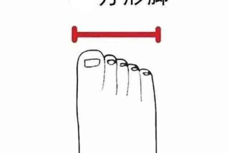 享福命脚型图:揭秘你脚部特征与命运的奇妙关系