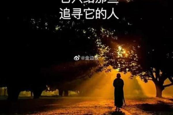 为他人拼命的行业，那些光辉背后的辛酸故事