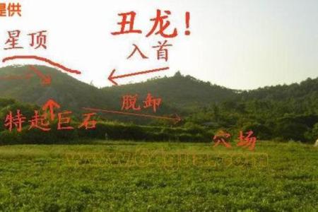 水命坟墓朝向：最佳方向与风水秘籍揭秘