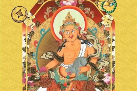 探寻命的奥秘:一命、六命、五命与三命的深刻解读