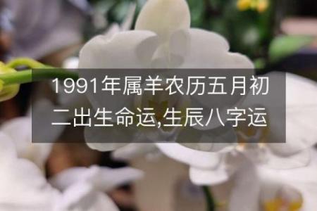 探秘羊年出生者:性格特征与命运解析