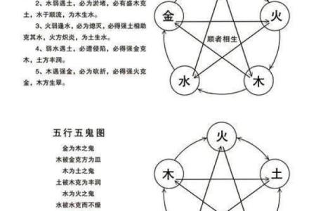 五行之道:命运与五行相生相克的奇妙关系