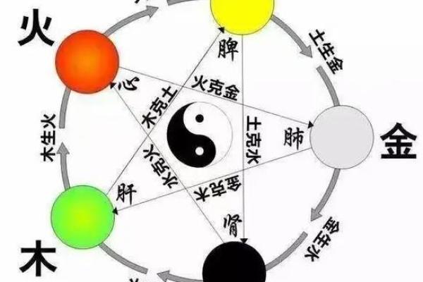 探寻木命与木命之间的相生相克：九大忌讳详解
