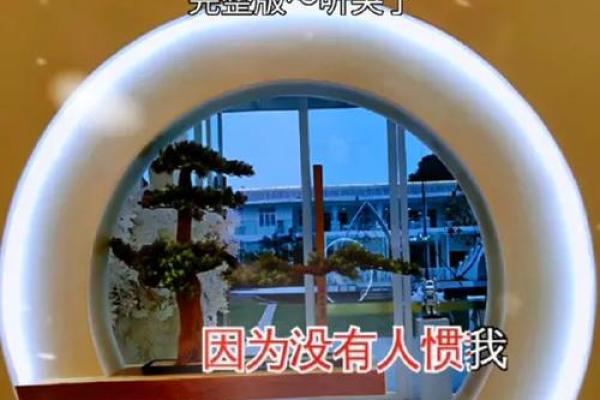 中等命格的秘密：在人生的旅途中寻找自己的位置