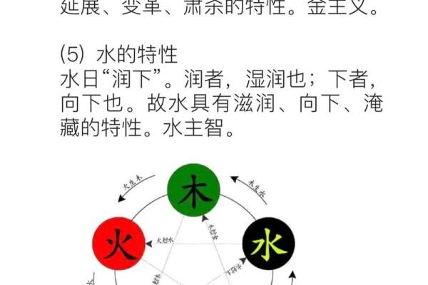 探秘五行之美：金木命格的独特魅力与人生启示