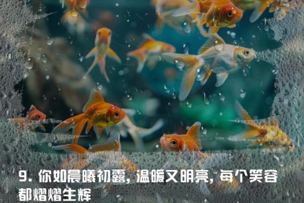 天上火命的人生哲学：如何发光发热，创造美好未来