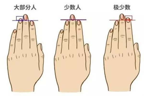 无名指中有竖线是什么命？揭秘手相奥秘，运势与性格如何影响人生