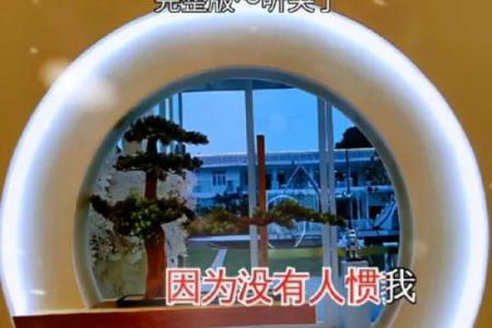 中等命格的秘密：在人生的旅途中寻找自己的位置