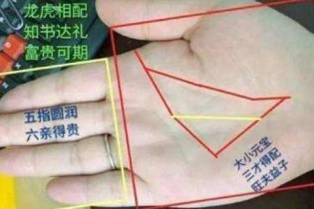 腰部纹莲花纹的女人,运势与命理解析