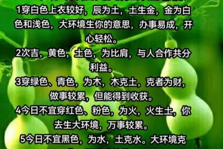 五行命理与颜色禁忌:让你运势更顺畅的秘密