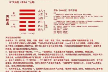 探讨时辰与金木命的奇妙关系,解密命理奥秘