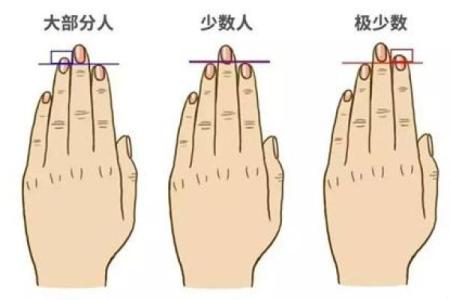 无名指中有竖线是什么命？揭秘手相奥秘，运势与性格如何影响人生
