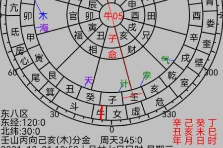 杨柳木命人士职业选择指南:如何找到适合自己的发展道路