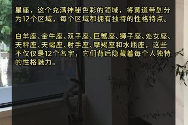 探秘射手座：12月出生女孩的命运与性格魅力