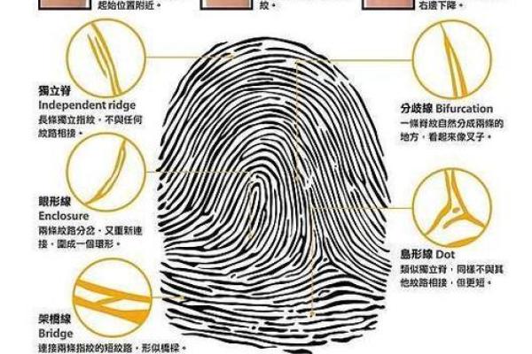 指纹不圆，命运与生俱来：深度解读指纹与性格之间的奥秘