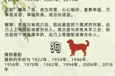 为什么说猪的生肖是马的命:探寻命运与生肖的微妙关系