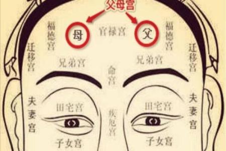 与甲木男人携手共舞:解析适合什么命的缘分