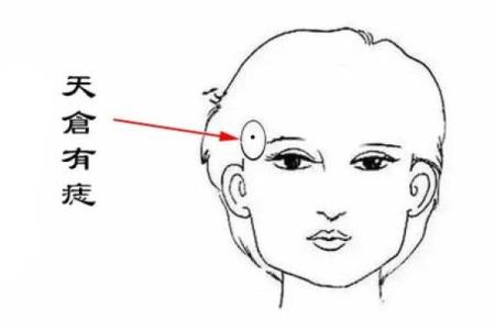五月出生牛女:如何理解她们的命运与性格特征