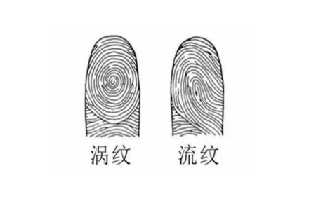 指纹不圆,命运与生俱来:深度解读指纹与性格之间的奥秘