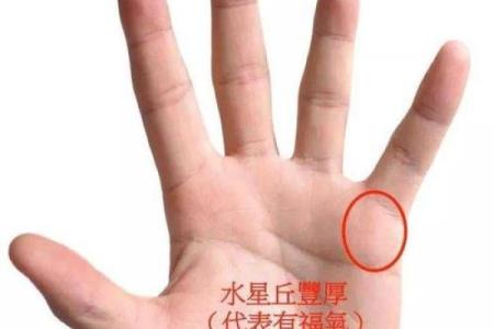 指甲形状与命运:揭示你的性格与运势之道