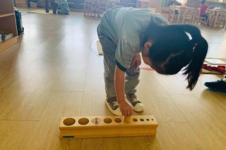 探索人生童子命:如何理解与引导这类孩子的成长之路