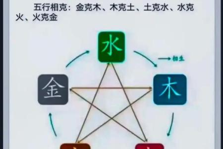 探索水生木相生的命格:与自然和谐共生的人生智慧