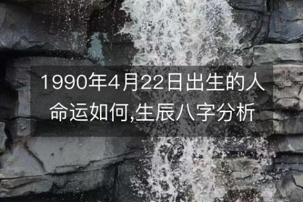 阴历1993年出生的命运解析：你是天生的领导者吗？