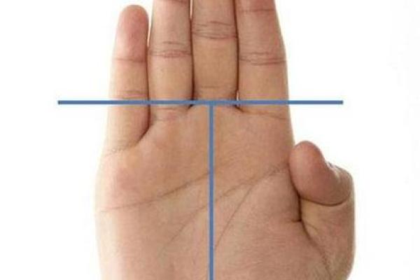 掌纹揭秘：哪些手掌特征预示着横财运亨通？