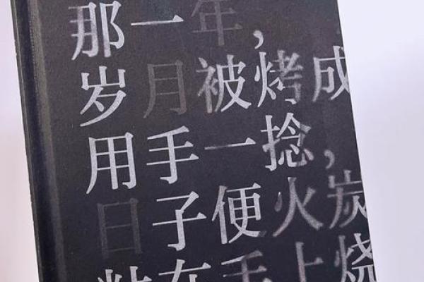 相依为命：在生命旅程中牵手前行的温暖与力量