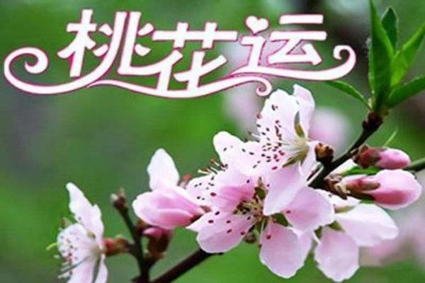 探秘山头火命与姻缘：最佳配对与情感之路