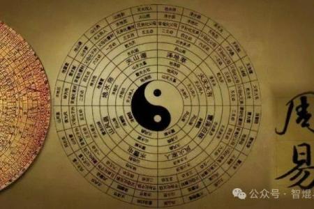 探秘五行缺木:木的命运与生活哲学的深度解析