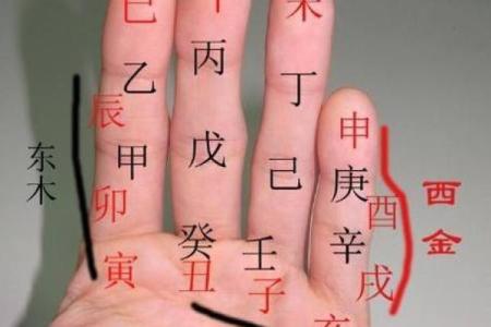 探寻命理:八字无子女的命理特征与破解之法