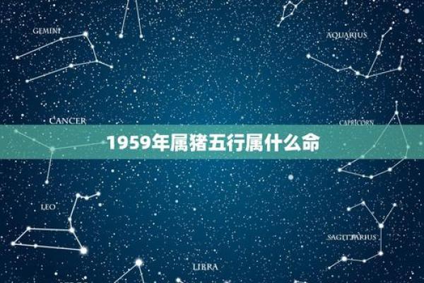 属猪水命人最佳名字推荐与命理分析