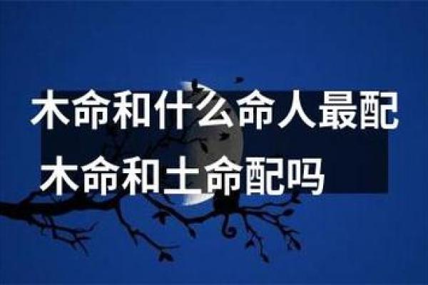 土命与其他命相配的最佳选择与解析