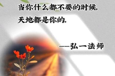 我为什么不要儿子的命:寻求内心的平静与解脱